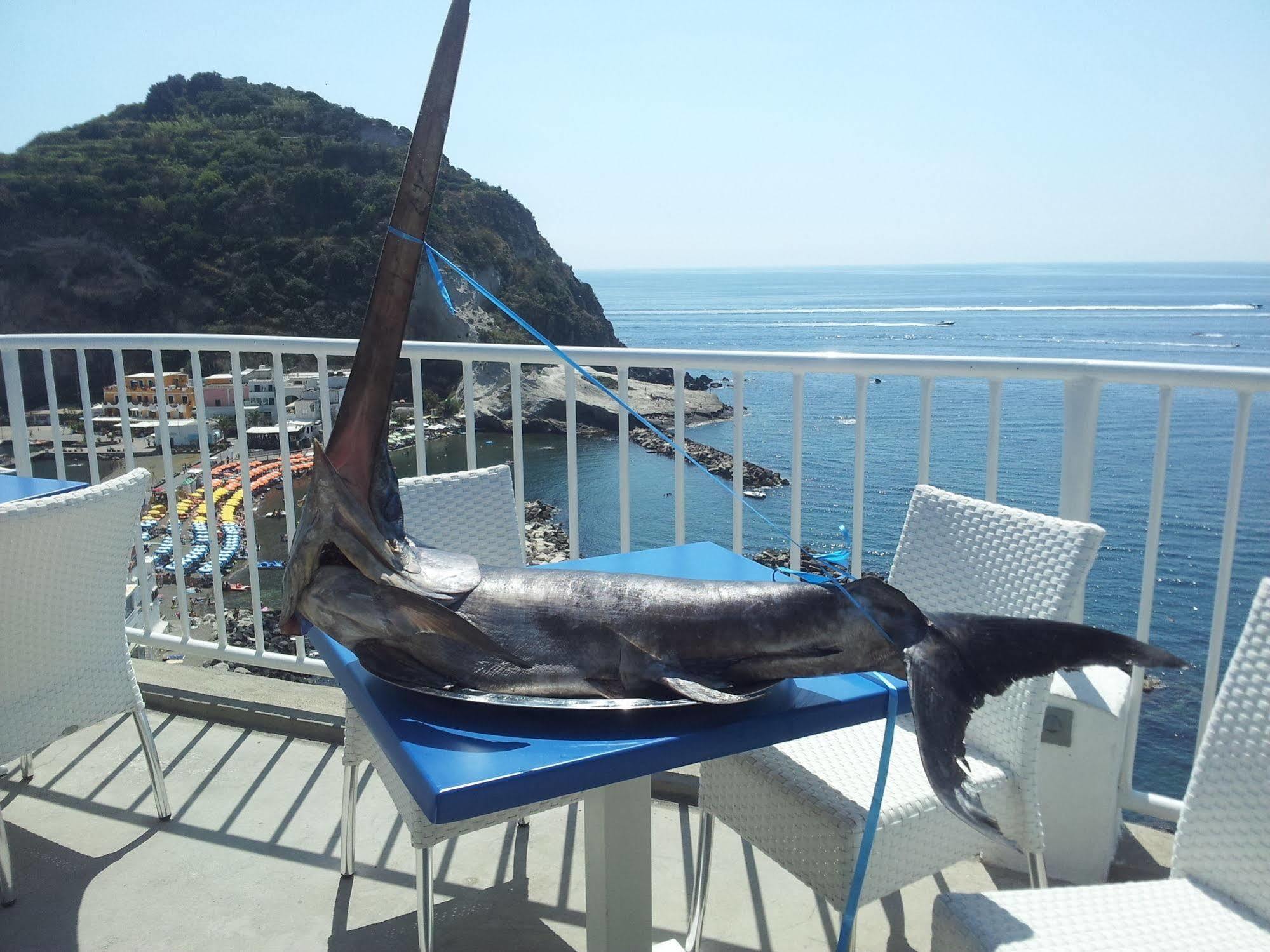 Hotel Villa Sirena Sant'Angelo  외부 사진